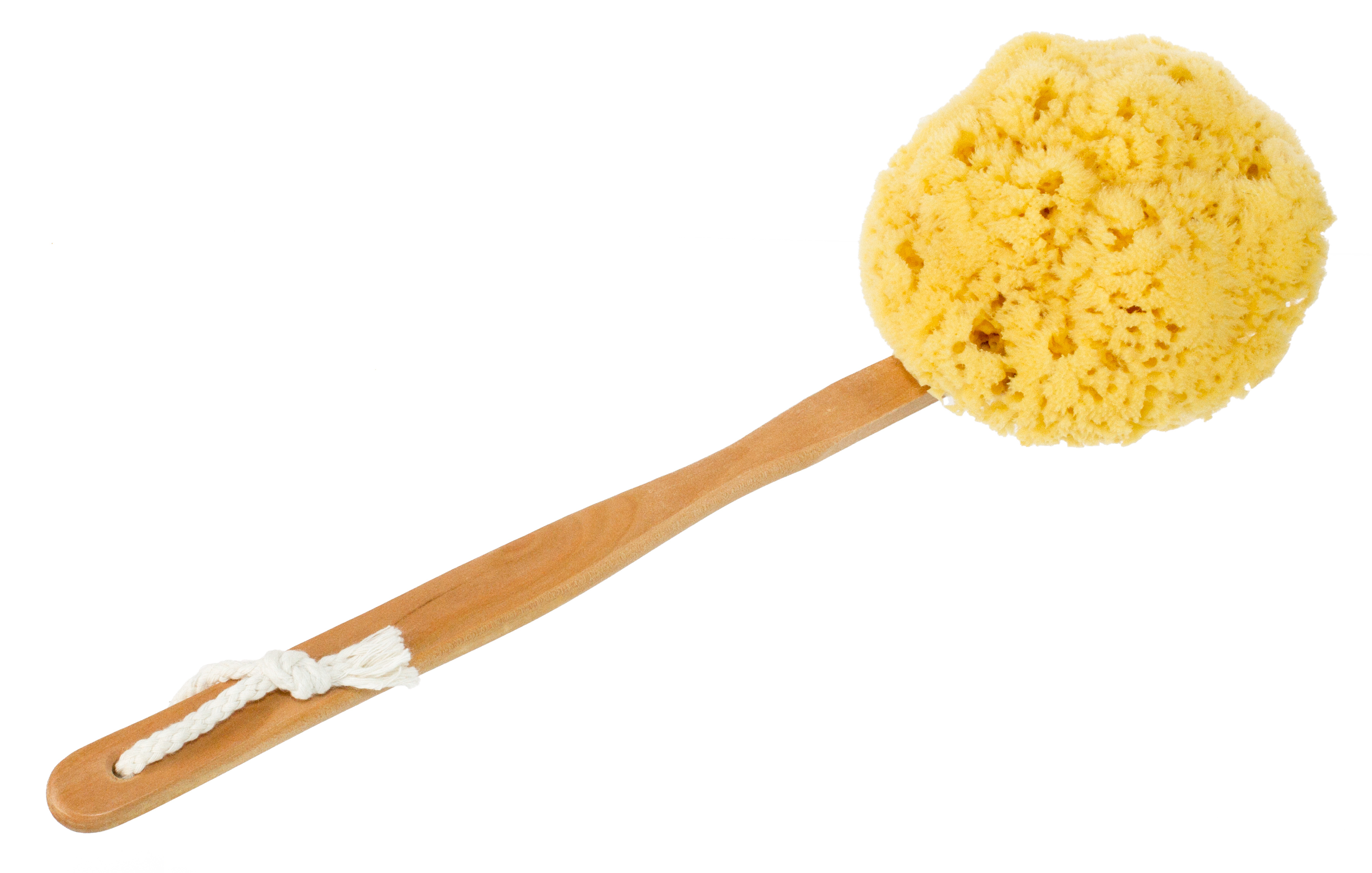 Yellow Sea Sponge Bath Brush