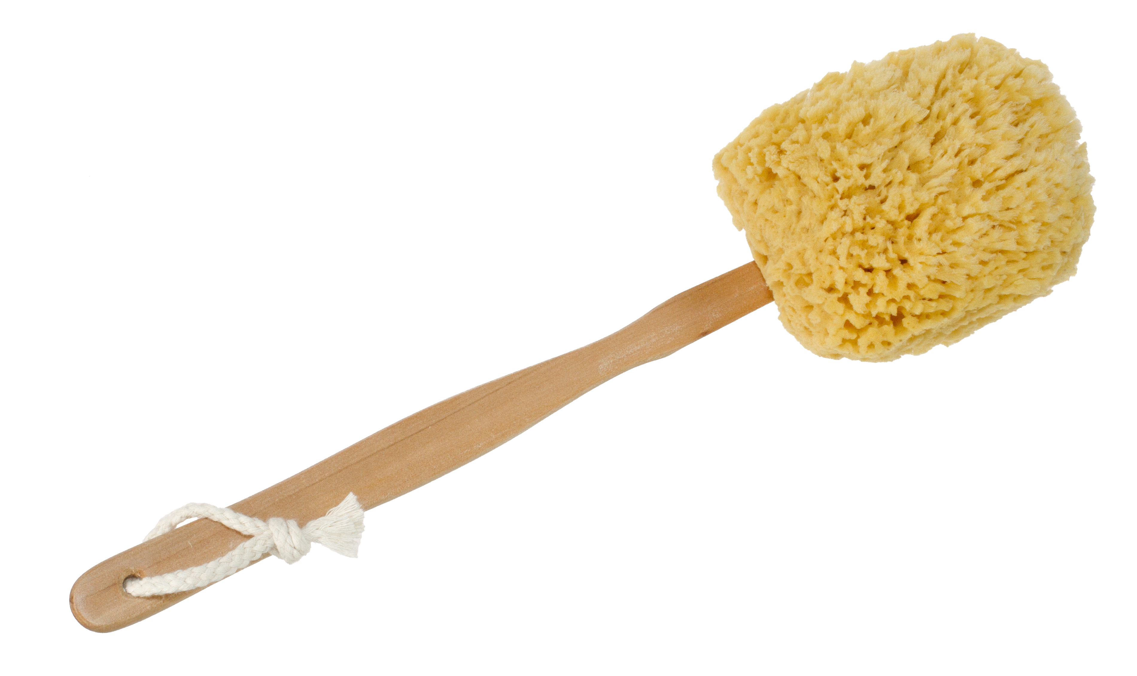 SeaSationals > Natural Sea Sponges > Yellow Sponge Back Scrubber