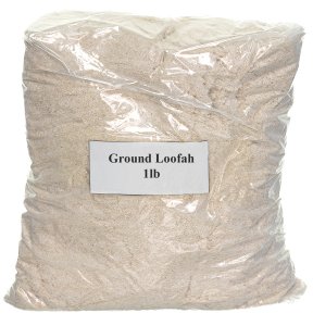 Ground Loofah - Asian