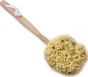 wool sea sponge bath brush