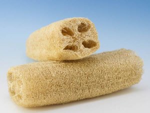 Mayan Loofah