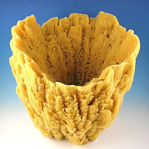 wholesale Vase Sponges