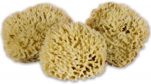 wool sea sponge bath brush